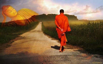 Như bóng không rời hình